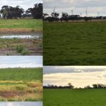 New research puts herbicides to the test at Breeza on the Liverpool Plains | The Land