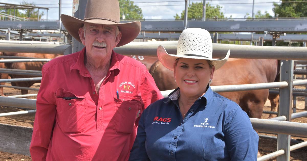 Monty Atkinson Genetics Sale celebrates 21 years in Charters Towers | Photos