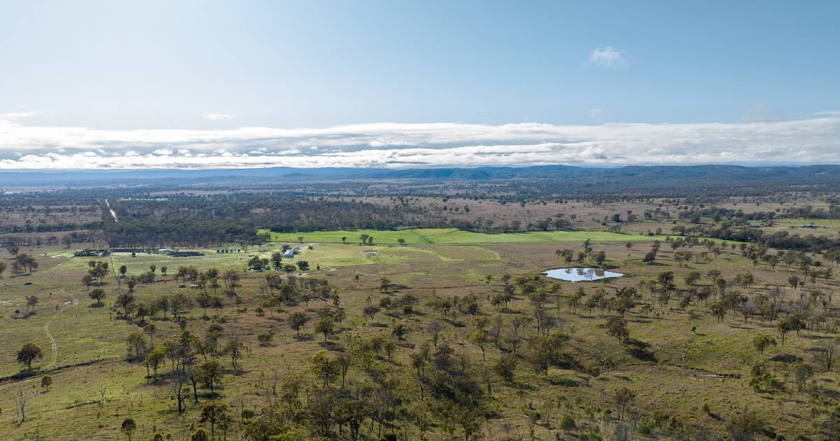 Glengariffe sold in two lots | Video