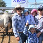 Weaner steers sell from 620c to 760c at Gympie