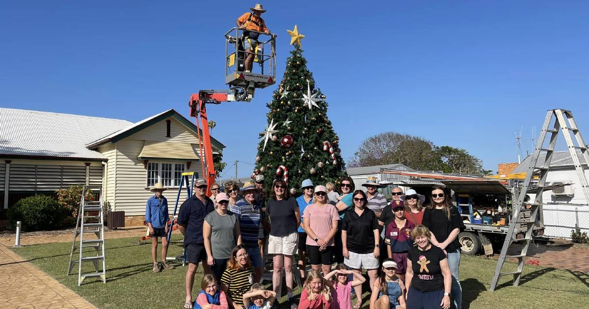 No grinch in Gayndah as locals rally for Christmas tree tradition | Queensland Country Life