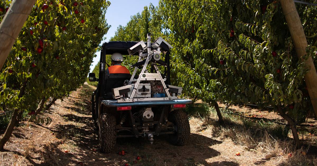 Robotics and AI to help farmers manage production