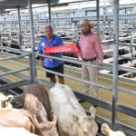 Future farmers hit the road thanks to cattle trailer