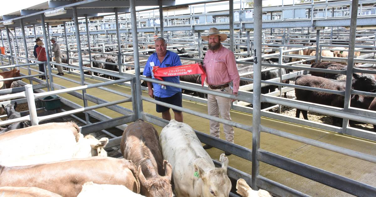 HP McKenny, Bow Bridge, wins Mt Barker champion pen of steers | Farm Weekly