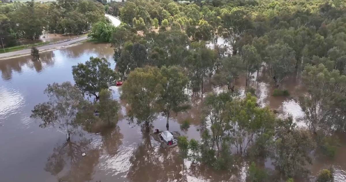 Incredible drone footage as Wagga sees worst flood peak in decade