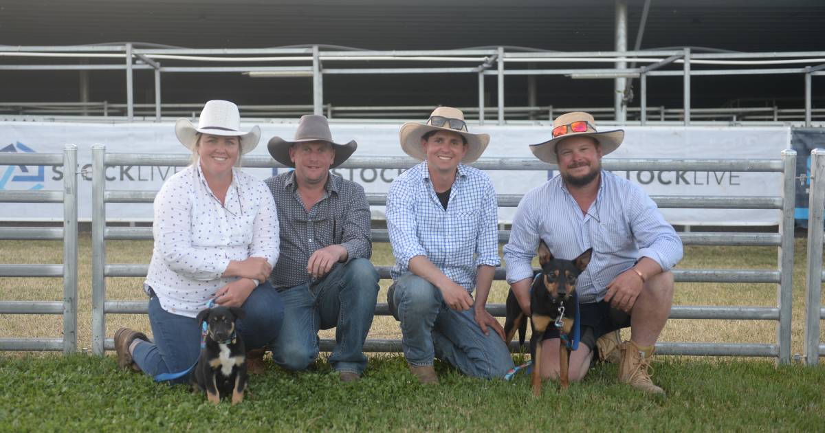 Regional Livestock Exchange buys charity dog for second year in a row at Working Dog Challenge