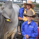 Brahman steers 215kg make 600c/$1290 at Charters Towers | North Queensland Register