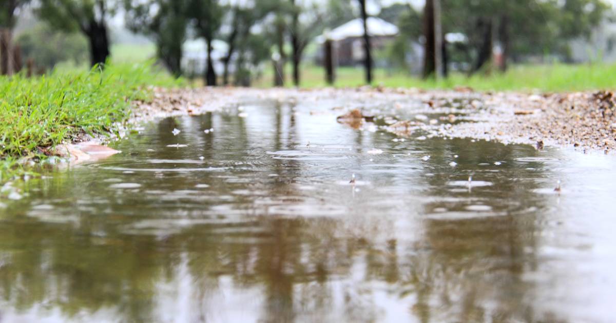 Kilometre-long ground lice trail hints at rain for Ilfracombe area | Video