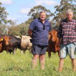 Coles expands carbon neutral beef brand to three new states