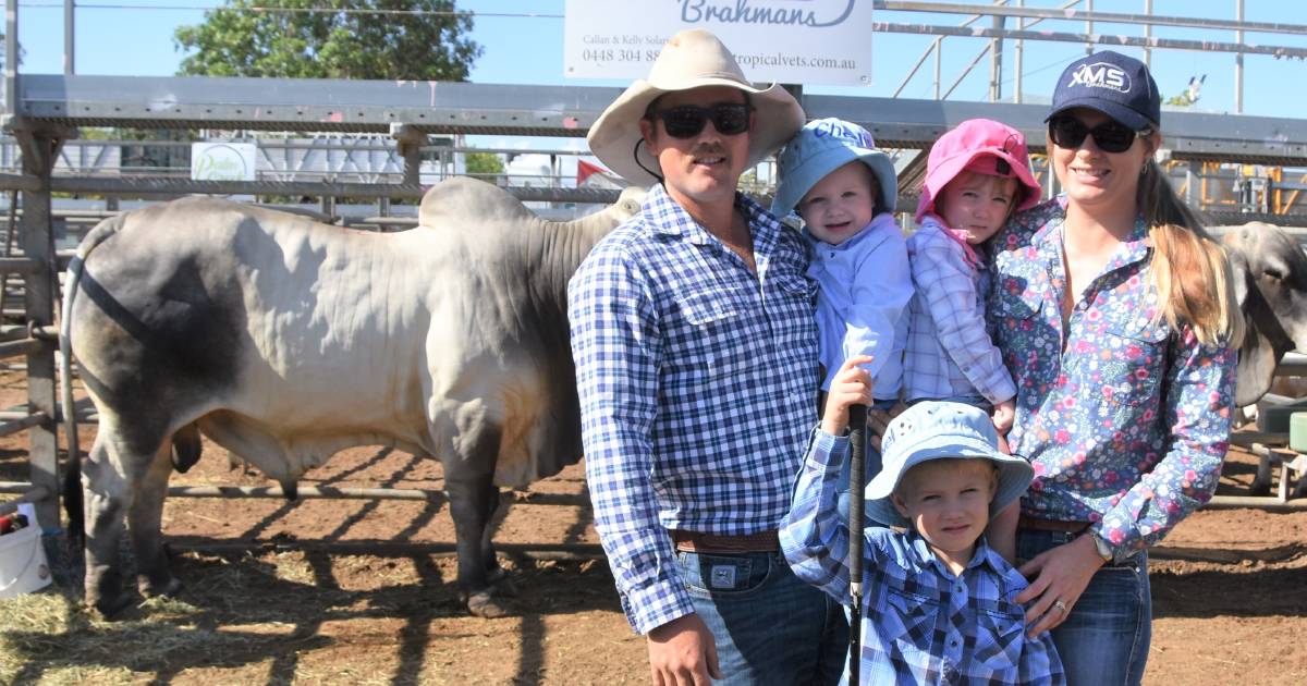 Faces from the Gold City Brahman Sale at Charters Towers | Photos