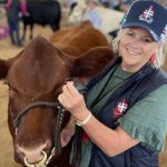 Santa steers 378kg make 530c/$2006 at Emerald | Queensland Country Life