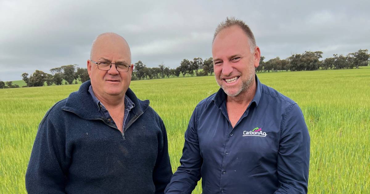 Manure link to best crops for Hassells