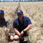 Weaner steers sell to $1970 at Monto