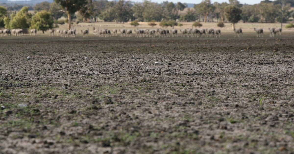 SW WA Hub promotes drought resistance funding | Farm Weekly