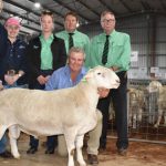 Dalby sale 16 Nov 2022: Feeder, restocker prices hold firm