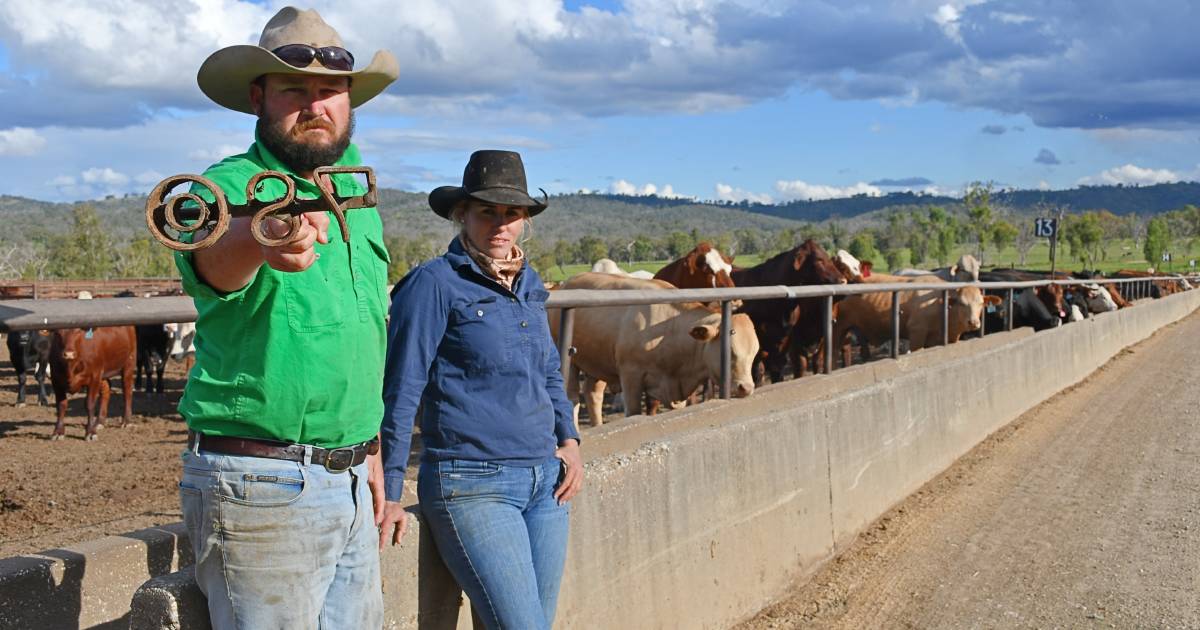 Compulsory livestock branding under review in Queensland