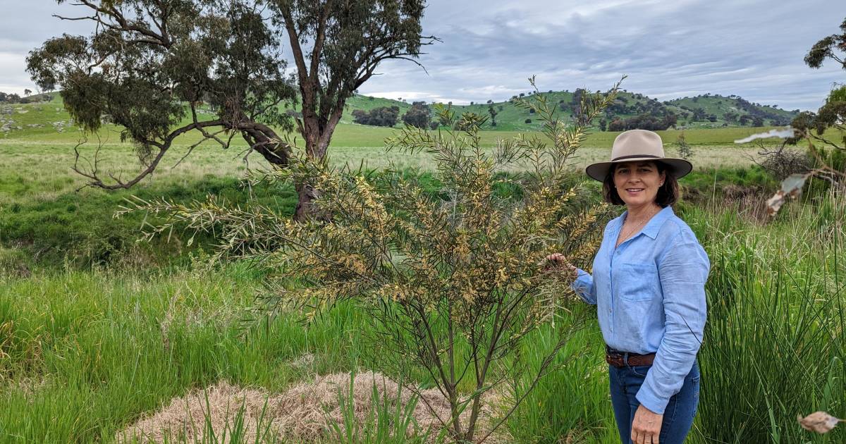 Goulburn to celebrate innovation in agriculture