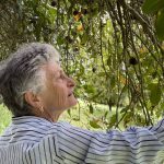 Manure link to best crops for Hassells