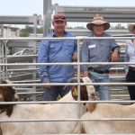 $110,000 for Garnett SheepMaster ram sets best price for the 2022 season | Farm Weekly