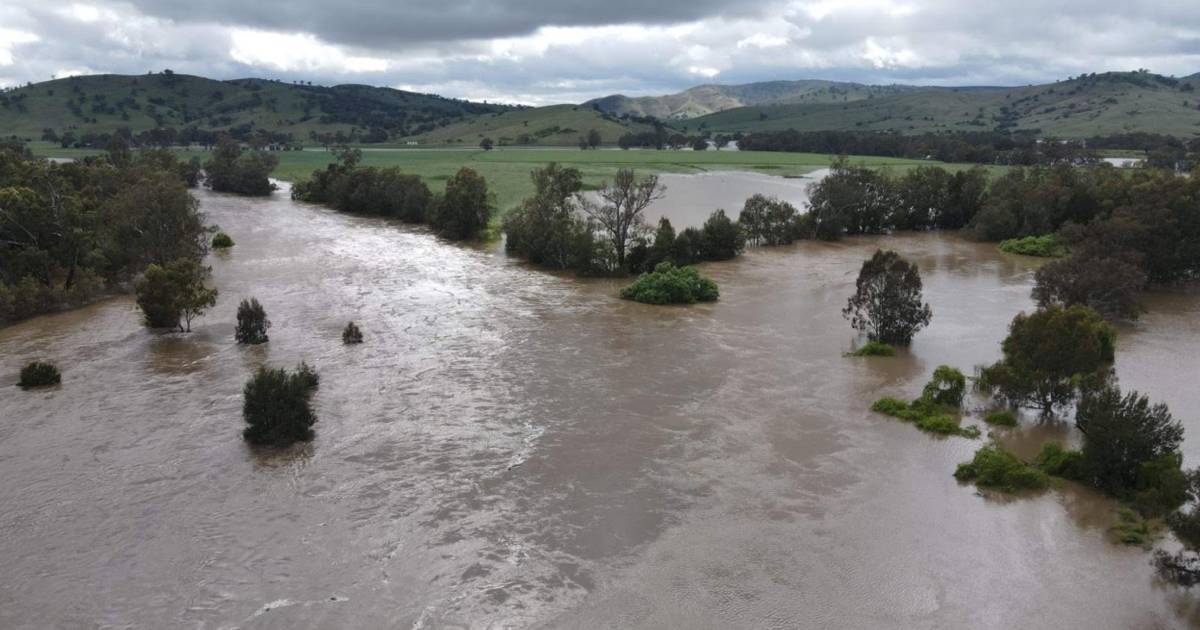 Inland NSW flooding causes major upset to agriculture | The Land