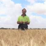 North west landholders invited to contribute woody weed biomass to renewable energy plan | Queensland Country Life