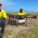 Men charged with fuel theft at Moranbah