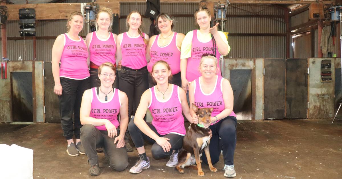 First all-girl shearing team in Western Australia takes over Minston Park shearing shed, Bindoon | The Land