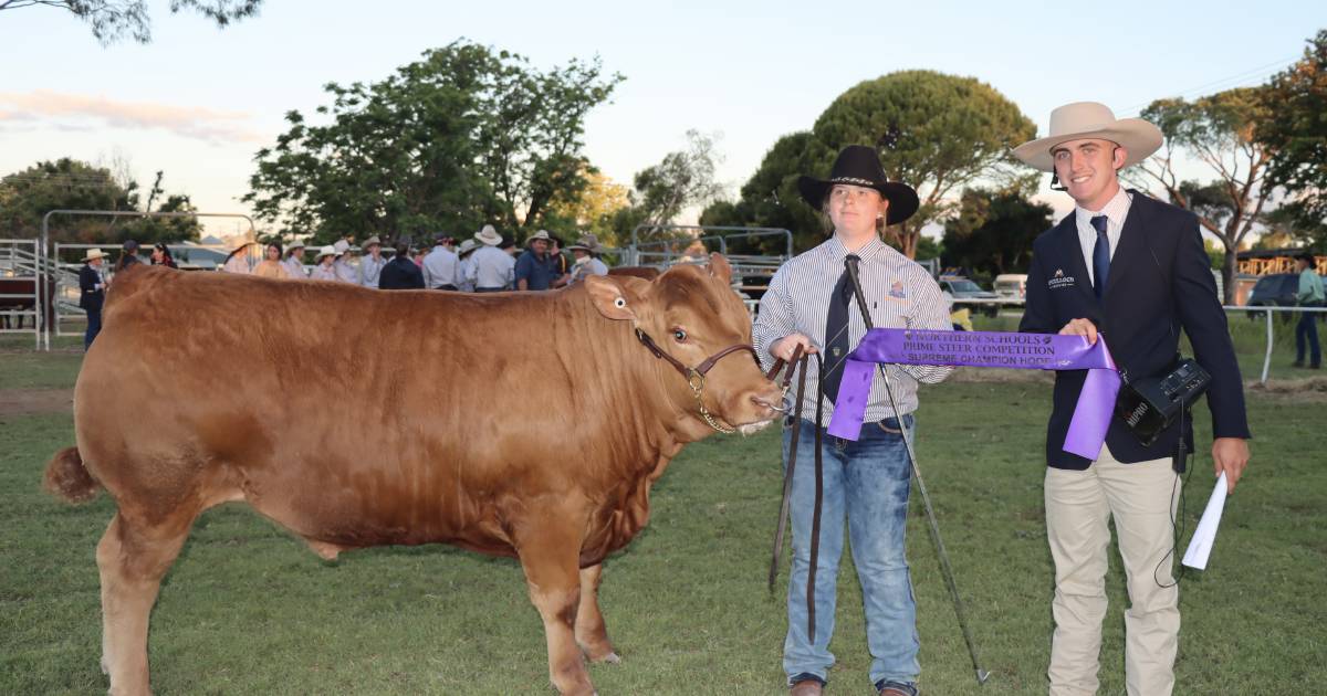 Tenterfield High takes grand champion sash at Northern Schools Steer led competition