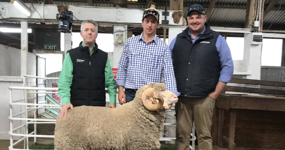 Tasmanian buyer secured top ram at Pomanara Merino sale