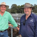 Booragul Angus Opportunity sale top of $18,000, with 13 bulls averaging $10,692 | The Land