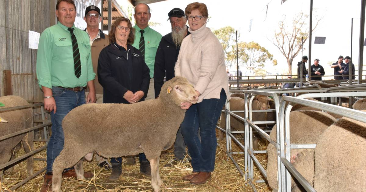 $11,600 top price for dual-purpose ram at the final Kintail Park sale | Farm Weekly