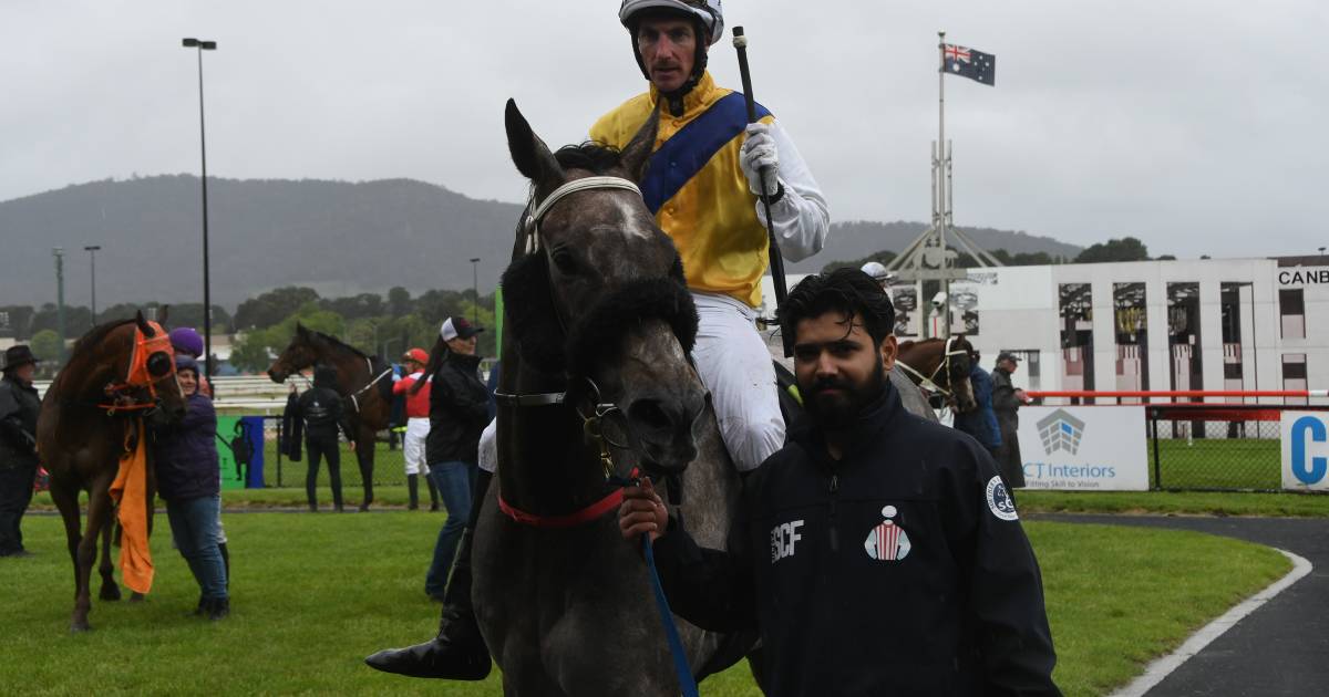 Keith Dryden victorious with Sweet Honesty, Vaaroom and Dream Runner on cup day | The Land