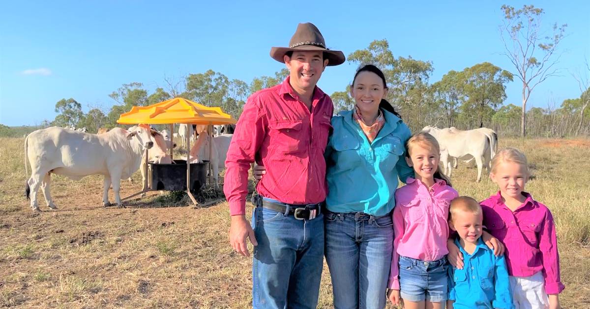 Soil, pasture benefits abound: Virginia Park's regenerative grazing success