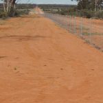 Cane cracks 1 million tonnes at Isis but delays expected