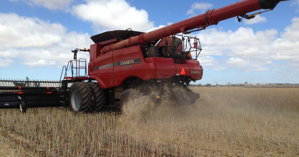 UWA research delves into crop residue issues | Farm Weekly