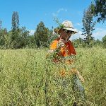 State of the climate report warns of hotter conditions with more extreme rain events | The North West Star