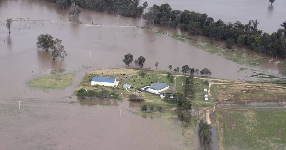 Farming families step up flood fight as peak moves down river from Forbes