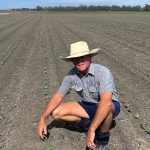 Increased yarding at Dubbo store sale