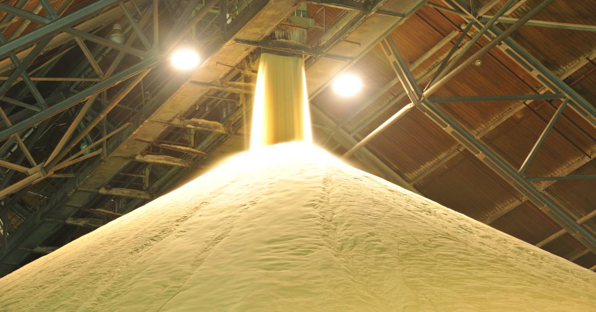 Australian world first: Fully traceable, sustainably produced raw sugar