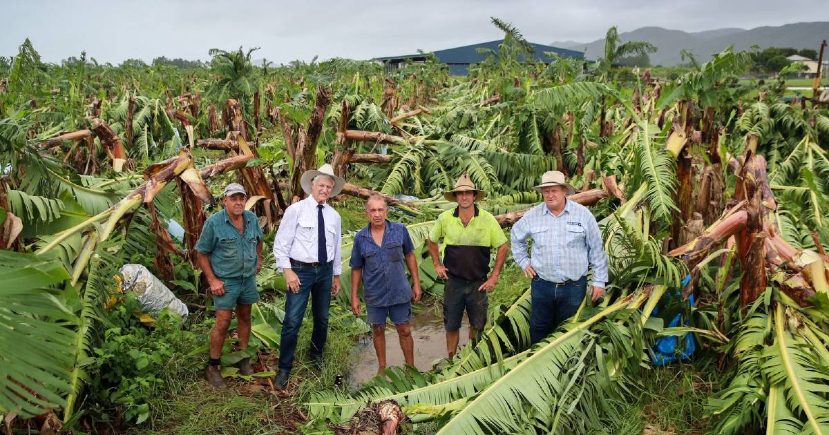 Parametric insurance market shake-up could benefit growers | Queensland Country Life