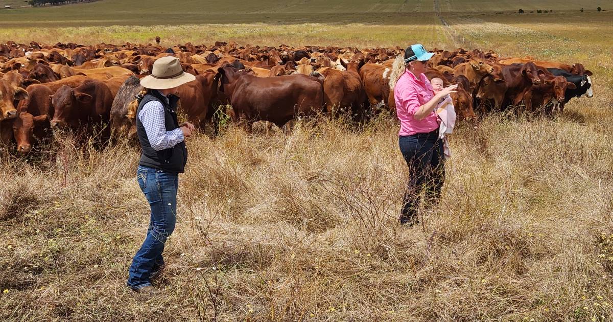 Industry forum for pastoralists