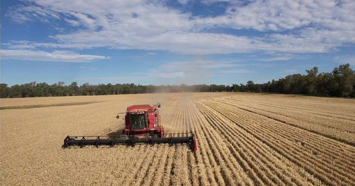 All the action from the Queensland harvest | Photos