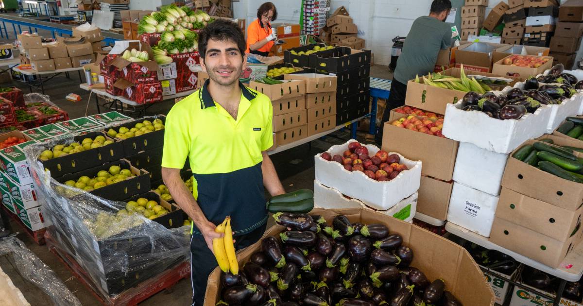 Funky Food founder builds ‘ugly’ fruit and veg online empire | Queensland Country Life