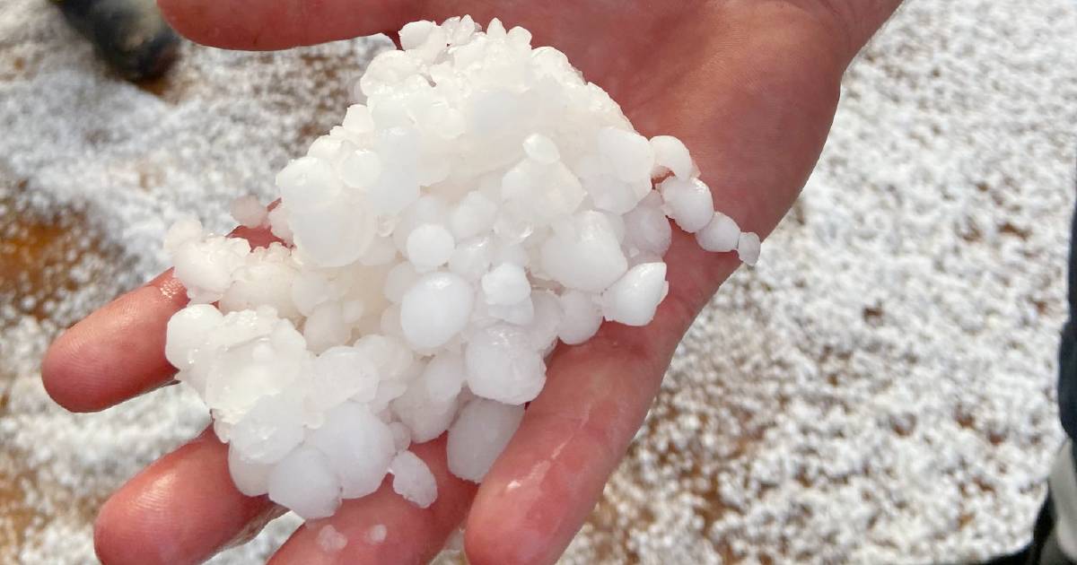 Hail of a time for farmers during harvest