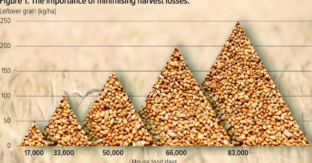 Reduce the menu for mice this harvest | Farm Weekly