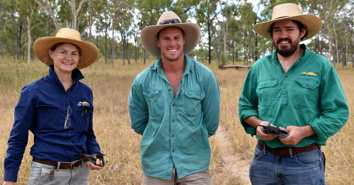 North Queensland farmers improving land condition: NQ Dry Tropics Year In Review 2021-22 | North Queensland Register