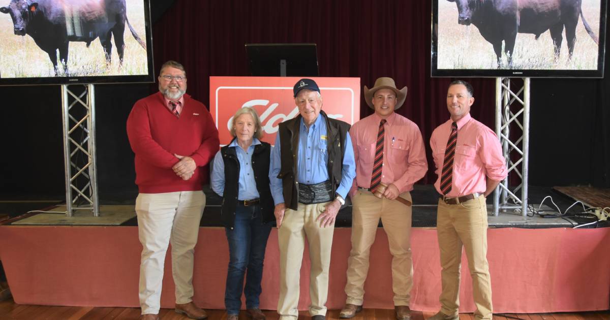 Queenslanders spend up at Mr Awesome Wagyu sale