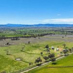 Wilangi invitational sale celebrates 35 years in Charters Towers | Photos