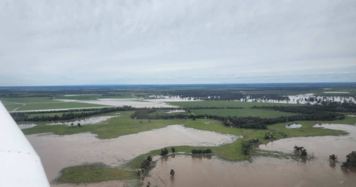 Where is the bush's flood recovery support?