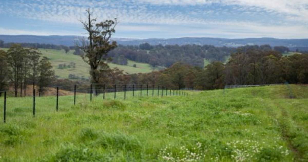 Productive tablelands country for up to 300 steers | Video